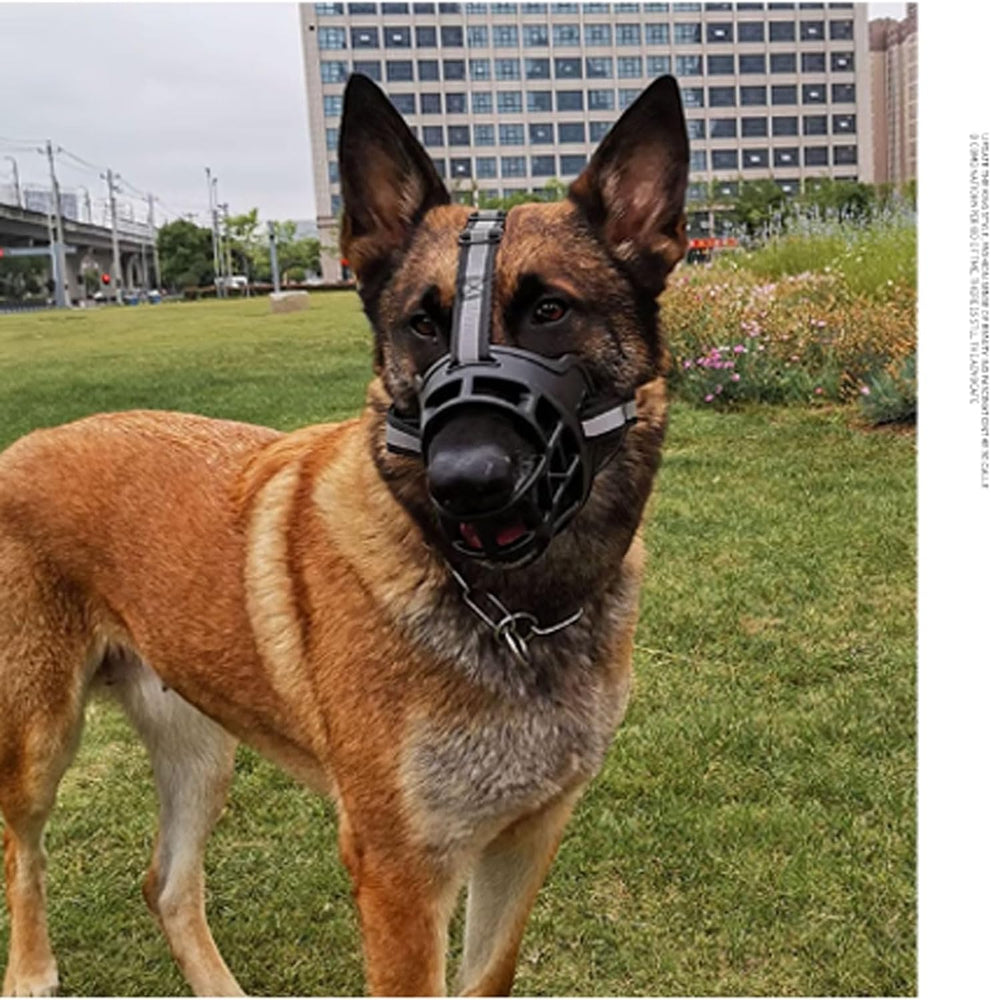 Bozal "BarkGuard" para Perros