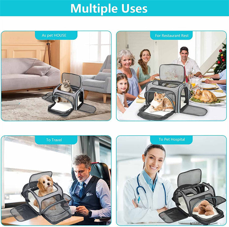 PetMove Seguro.Bolsa de viaje para gatos