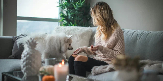 El Papel de las Mascotas en el Manejo de la Ansiedad