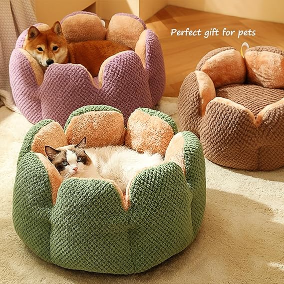 Cama cactus  para perros y gatos especial invierno.