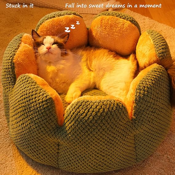 Cama cactus  para perros y gatos especial invierno.