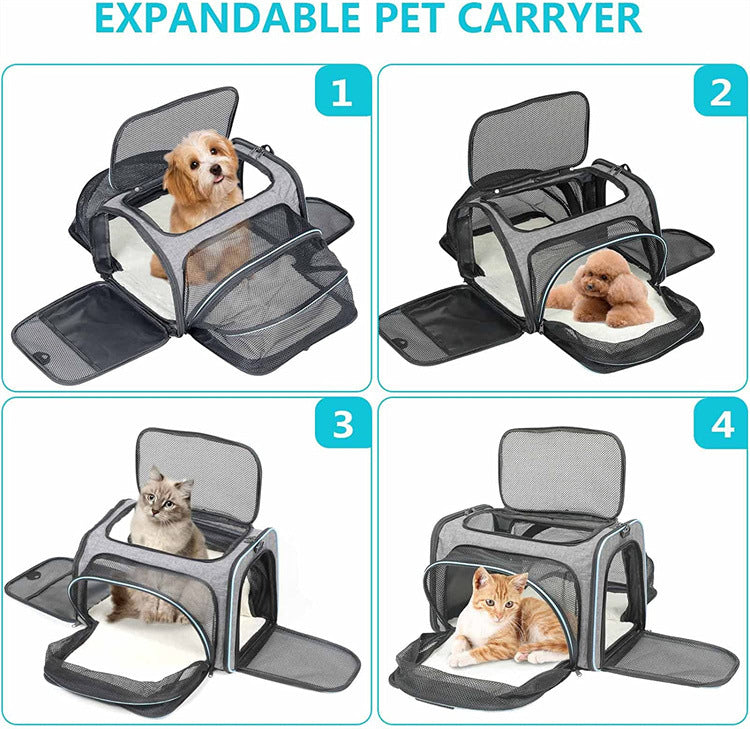 PetMove Seguro.Bolsa de viaje para gatos