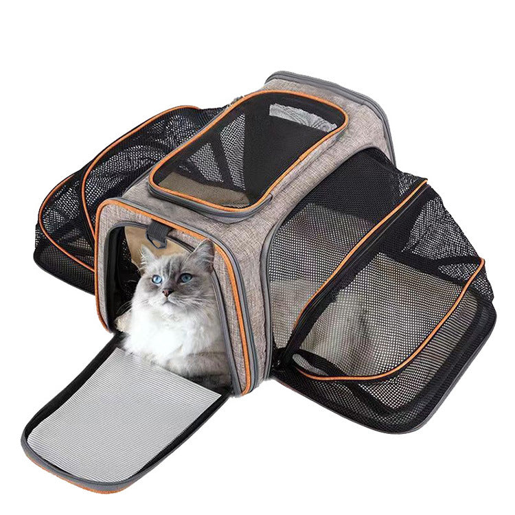PetMove Seguro.Bolsa de viaje para gatos