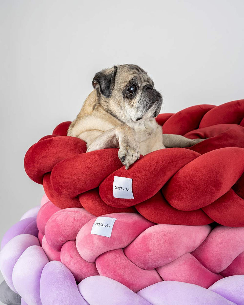 Nido Tejido para Mascotas "Confort Artesanal"